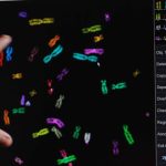 Vijay Antony Film Corporation 18 Titled Pookie