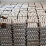 The silent victims of cancer: unravelling the indirect consequences on children Premium