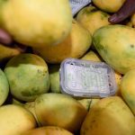 Baby steps in personalised gene editing Premium