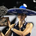 ICC Champions Trophy 2025: Who are the umpires and match officials for IND vs AUS semifinal in Dubai?