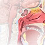 Sleepless and struggling: the hidden toll pregnancy and motherhood can have on women Premium