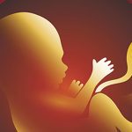 Adding community to the equation of elderly care Premium