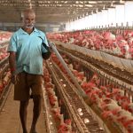 Abrupt disruptions to foreign aid threaten the gains achieved in controlling new HIV infections, AIDS-related deaths: WHO