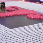 Palliative care training programme for healthcare professionals in 14 States launched