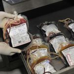 Kerala firm weaves Met Gala 2025’s expansive carpet for the third time