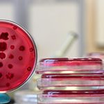 It is time to protect India’s workers from the heat Premium