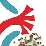 ‘Excess deaths in 2020 and 2021 not equal to deaths by COVID-19, increase attributable to several reasons’