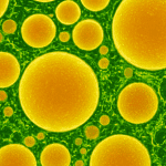 Temperatures soar past 45°C in four Telangana districts, heatwave warning issued