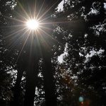 Rigorous fitness routine awaits Sunita Williams, Barry Wilmore on earth Premium