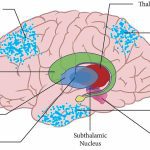 Hiphop Tamizha Begins Shooting Sequel to Meesaya Murukku