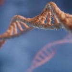 All you need to know about: Blood pressure Premium