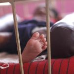 MCA to select promising emerging players for UK tour, plans new cricket academy in Thane