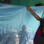 AFG vs SA head-to-head record in ODIs, ICC Champions Trophy 2025: Afghanistan vs South overall stats; most runs, wickets