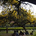 F1 2025 pre-season testing: A glimpse into the closest title race yet?