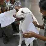 2D Echo technician impersonated a doctor, MBBS doctor functioned as clinical cardiologist at health centre in Telangana’s Suryapet