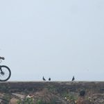 The science behind ‘miracle babies’ born of uterine transplants Premium