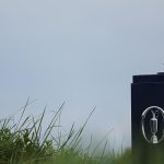 Understanding the complexities involved in disease surveillance in India Premium