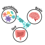 GT vs DC, IPL 2025: Collectively driven Gujarat Titans, Delhi Capitals square off in Ahmedabad