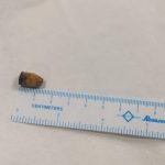 Fresh finds, festive vibes: Armoire returns to Chennai with its 10th edition Festive Edit