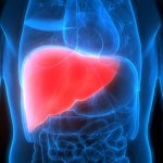 F1: Colapinto will return to Williams eventually, says team principal Vowles