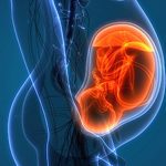 Sustainable fashion label ILK launches its Mutualism collection in Chennai