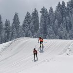 As India’s kidney transplant gap widens, experts call for donor pool expansion Premium