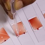 Mohammedan SC 0-2 Jamshedpur FC Highlights: Ritwik, Barla score as JFC beats MSC in Indian Super League 2024-25