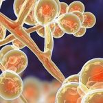 Over 9,400 new HIV cases detected in Telangana in 2024