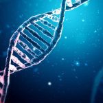 The role of vaccines in protecting communities from disease Premium