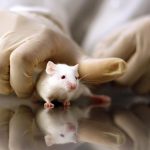 NIMHANS consultative meeting on strengthening student mental health support systems in campuses 