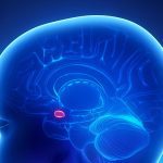 Makkalai Thedi Maruthuvam scheme hits the mark by improving hypertension, diabetes control in T.N. Premium