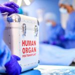 How did WHO nations strike a pandemic deal? | Explained Premium