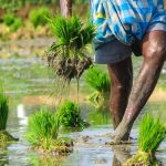 States need to protect patients from being fleeced by private hospitals, says Supreme Court