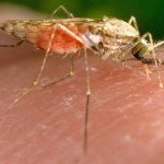 Attakathi Dinesh And Kalaiyarasan’s Thandakaaranyam Secures A Date For Release!