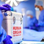 PSL CEO Salman Naseer: Working on finding ways to mitigate match timing overlap with IPL 2025