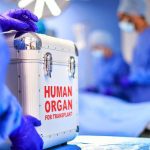 To achieve India’s goal of 10% lower suicide mortality by 2030, better data is crucial, say experts Premium