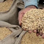 Pope Francis, first Latin-American to head the Catholic Church, passes away at 88