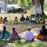 DD Next Level USA Theater list