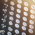 Total Fertility Rate remains constant at 2.0 in 2021: report