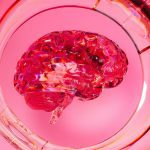 Bigg Boss Tamil 9 Contestants – Expected List