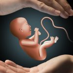 WHO defends vaccine safety test standards