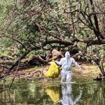 The rise and risks of health insurance in India Premium