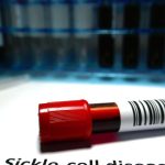 Kerala reaches first Ranji Trophy final after taking first-innings lead vs Gujarat