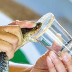 From vigorous brushing to clear aligners, here’s what might be causing your gums to recede