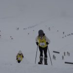 Bombay HC orders BCCI to resolve dispute between Telangana, Hyderabad associations