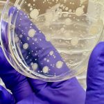 New version of Merck’s cancer drug faces possible patent battle: reports