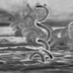 Ex-Premier League star Li Tie loses appeal in 20-year bribery sentence