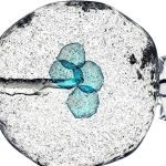 La Liga 2024-25: Bilbao frustrated at Espanyol after match stopped by racist chants