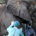 Pankaj Advani clinches 14th Asian Snooker Championship title